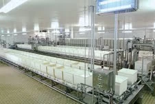Linea De Coagulacion y Moldeo De Queso Fresco DYNAFORM TECNAL