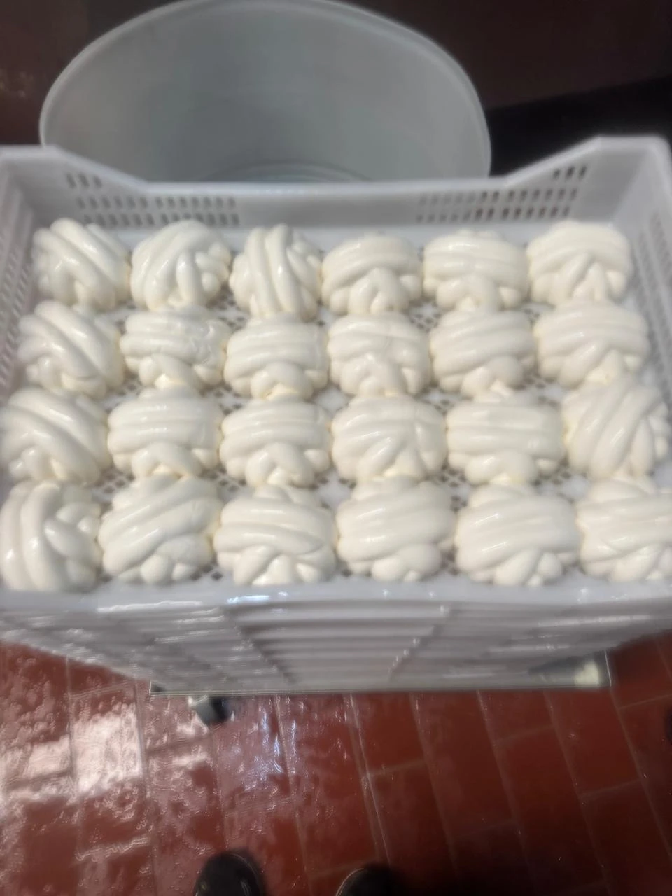Lineas de Moldeo y Enfriamiento Para Queso Oaxaca  NUEVAS 
