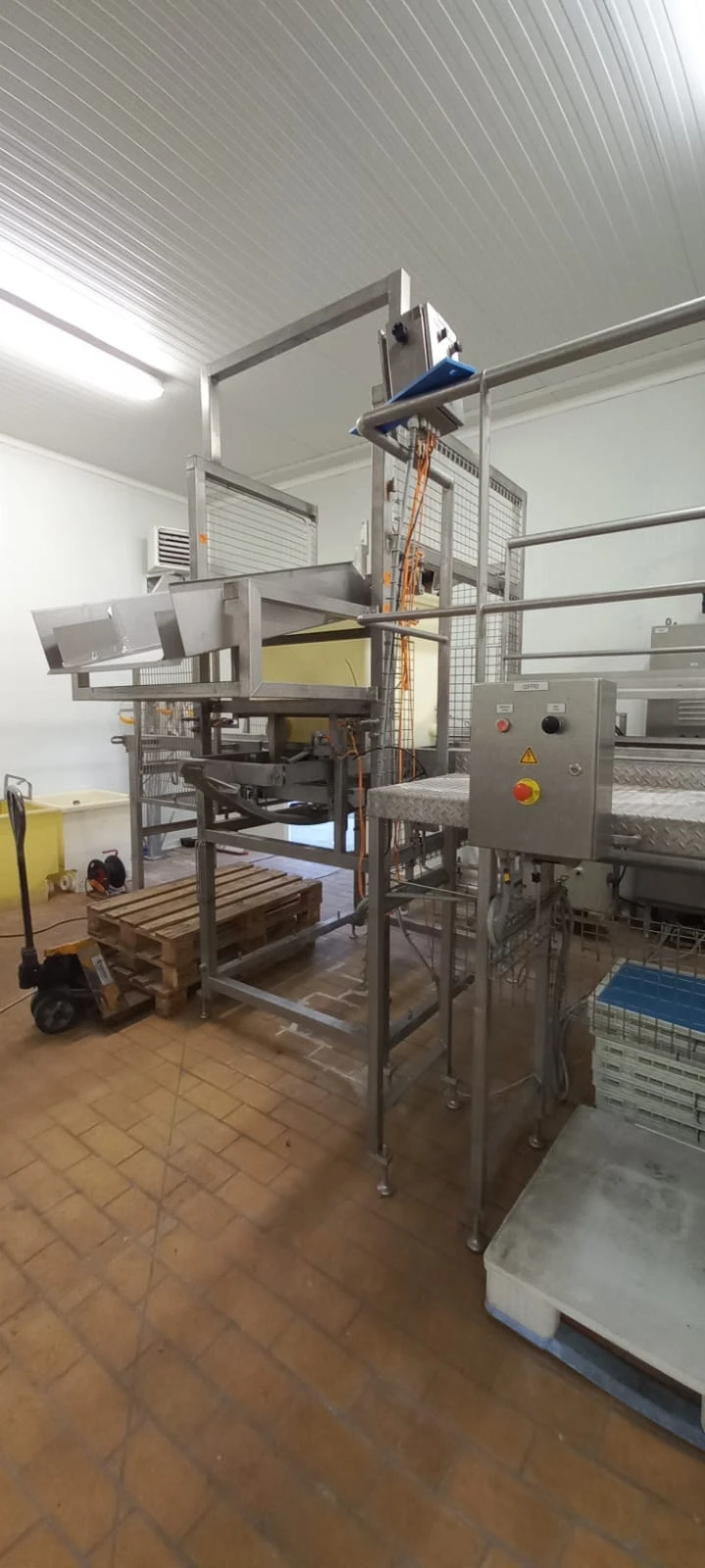 Linea  de cuajado y Moldeo de queso marca TECNAL Idela para queso camembert o Brie