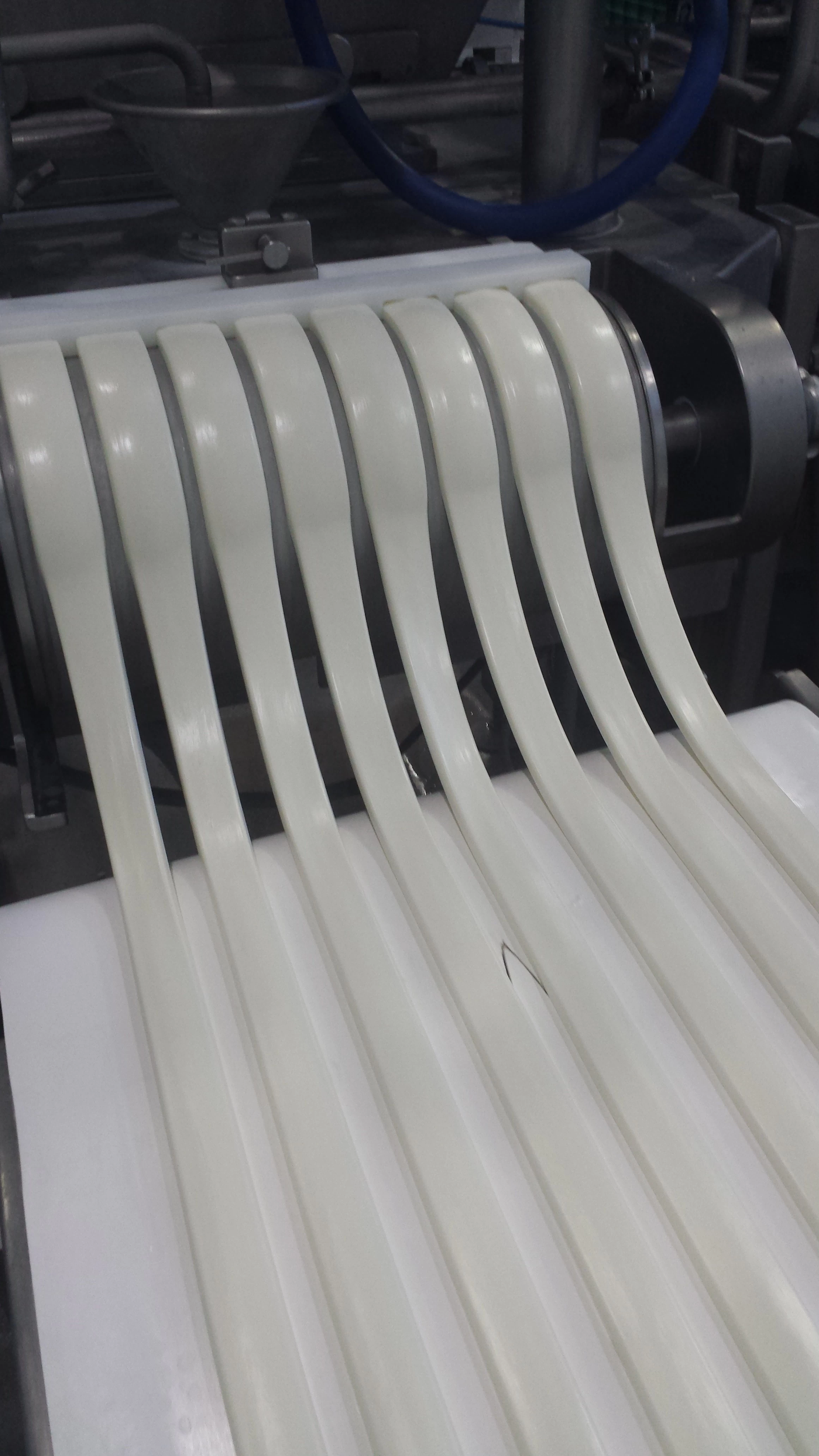 Lineas de Moldeo y Enfriamiento Para Queso Oaxaca  NUEVAS 