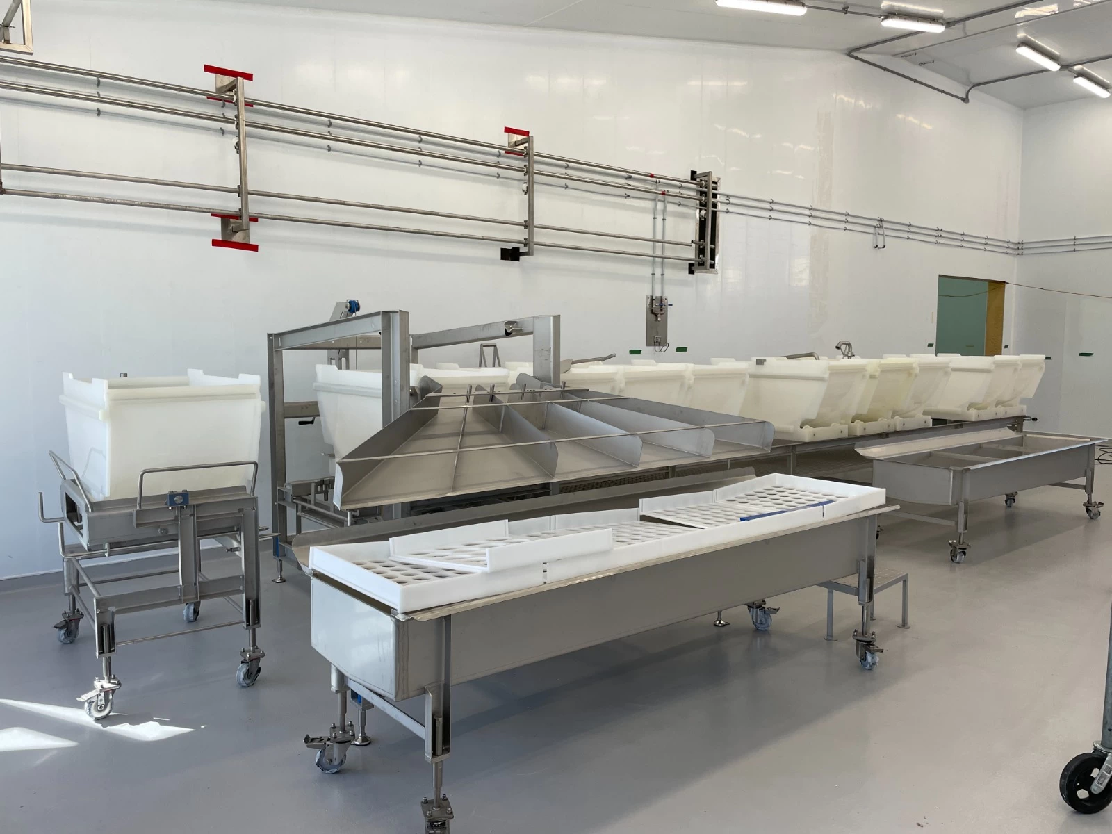 Linea De Coagulacion y Moldeo De Queso Fresco DYNAFORM TECNAL